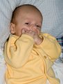 img003.jpeg.small.jpeg